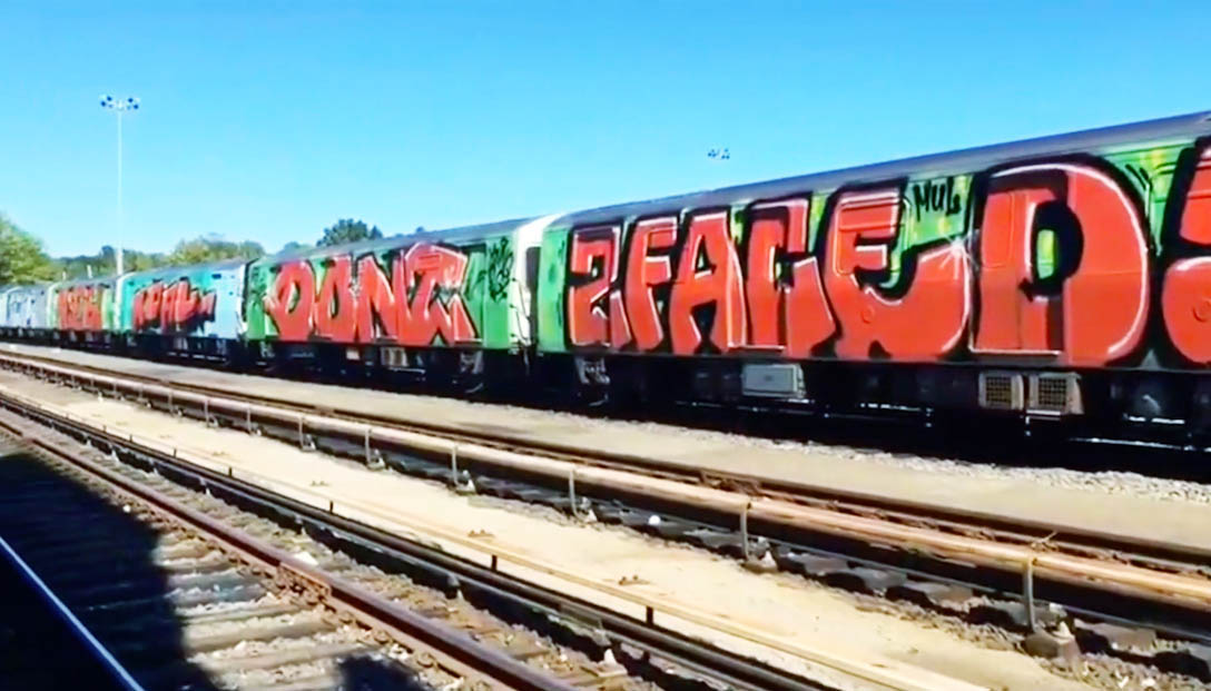 graffiti train subway newyork nyc 2017 dont 2faced mul wholetrain running writing usa